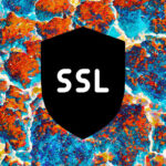 Renew SSL icon